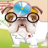 Dr.Bulldog's Pets Hospital jeu