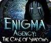 Enigma Agency: Le Chaos des Ombres game