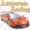 Autocross Racing jeu