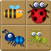Bug Box jeu