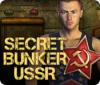 Secret Bunker USSR: The Legend of the Vile Professor jeu