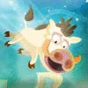 Polar Boar jeu