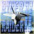 Plus d'Information sur le jeu River Raider II