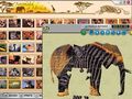 Capture d'écran de Animals of Africa à téléchargement gratuit 2