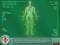 Free download Elizabeth Find MD: Diagnosis Mystery screenshot