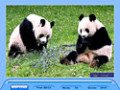 Capture d'écran de Jig Swap Puzzle à téléchargement gratuit 1