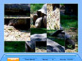 Capture d'écran de Jig Swap Puzzle à téléchargement gratuit 2