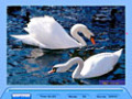 Capture d'écran de Jig Swap Puzzle à téléchargement gratuit 3