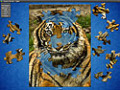 Capture d'écran de Jigs@w Puzzle 2 à téléchargement gratuit 1
