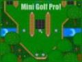 Téléchargement gratuit du Jeu Mini Golf Pro