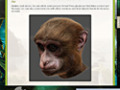 Capture d'écran de Return to Mysterious Island 2: Mina's Fate Strategy Guide à téléchargement gratuit 2