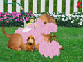 Capture d'écran de Wonder Pets Save the Puppy à téléchargement gratuit 2