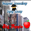 SSSG - Big Apple jeu