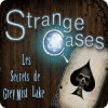 Strange Cases: The Secrets of Grey Mist Lake jeu