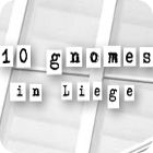 10 Gnomes in Liege jeu