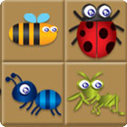 Bug Box jeu