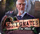 Enigmatis: The Mists of Ravenwood jeu