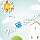 Fly, Birdie jeu