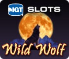 IGT Slots Wild Wolf jeu