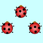 Ladybug Pair Up jeu