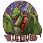 Magic Life jeu