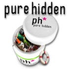 Pure Hidden jeu