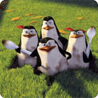 The Penguins of Madagascar: Pollution Solution jeu