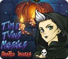 Time Twins Mosaics Haunted Images jeu