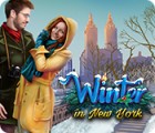 Winter in New York jeu