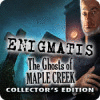 Enigmatis: Les Arcanes de Maple Creek Edition Collector game