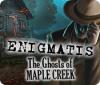 Enigmatis: Les Arcanes de Maple Creek game