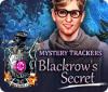 Mystery Trackers: Le Secret des Blackrow game