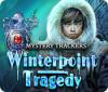 Mystery Trackers: La Tragédie de Winterpoint game