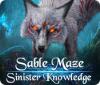 Sable Maze: Un Sinistre Savoir Édition Collector game