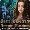 Sister's Secrecy: La Lignée des Arcanes Edition Collector game