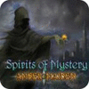Spirits of Mystery: La Malédiction d'Ambre Edition Collector game
