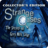 Strange Cases: Les Secrets de Grey Mist Lake Edition Collector game