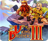 Viking Brothers 3. Collector's Edition game