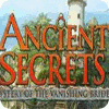 Ancient Secrets: Mystery of the Vanishing Bride jeu