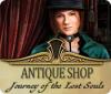 Antique Shop: Journey of the Lost Souls jeu