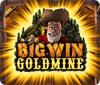 Big Win Goldmine jeu
