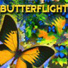 Butterflight jeu