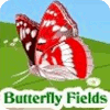 Butterfly Fields jeu