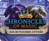 Chronicles of Magic: Les Royaumes Divisés game