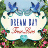 Dream Day True Love jeu