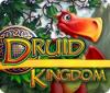 Druid Kingdom jeu