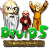 Druid's: En Quête du Grimoire jeu