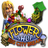 Flower Shop: Big City Break jeu