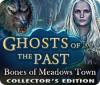 Ghosts of the Past: Les Os de Meadows Edition Collector jeu