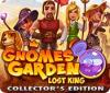 Gnomes Garden: Lost King Collector's Edition jeu